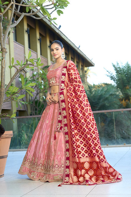 Most Beautiful Lehenga Choli | Ready To Wear Code-5055