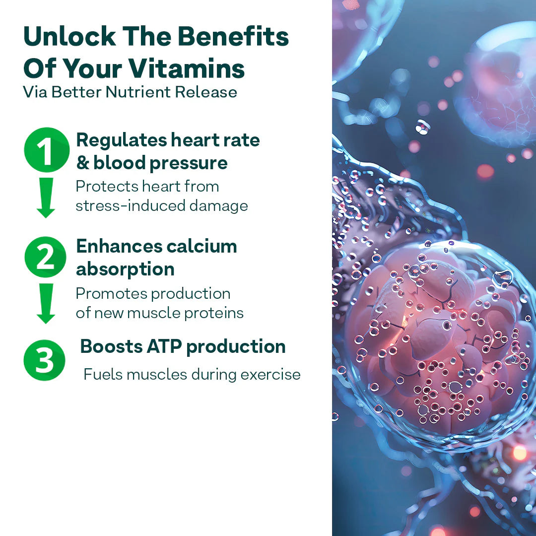 Oziva Plant Based Multivitamins for Men 35+ | 50 Tablets