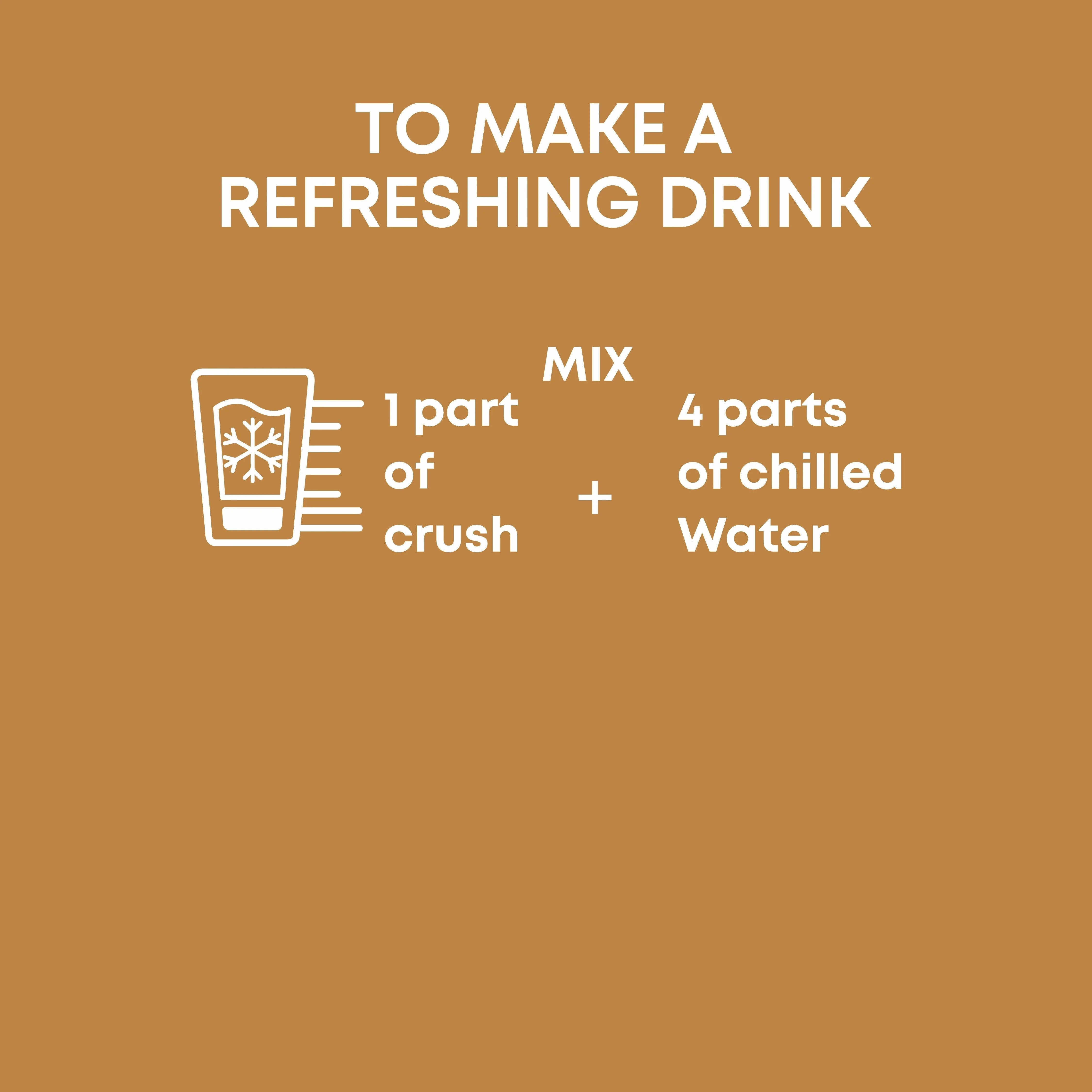 Mapro Amla Ginger Squash - 750 ml