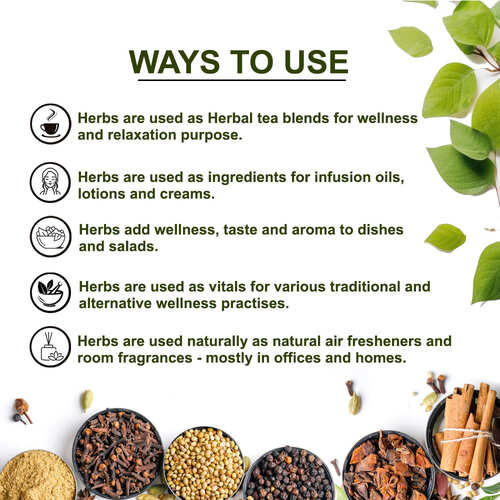 Organic Eucalyptus Leaves - Help With Coughs, Colds, Fevers & Wound Healing - 50 gms