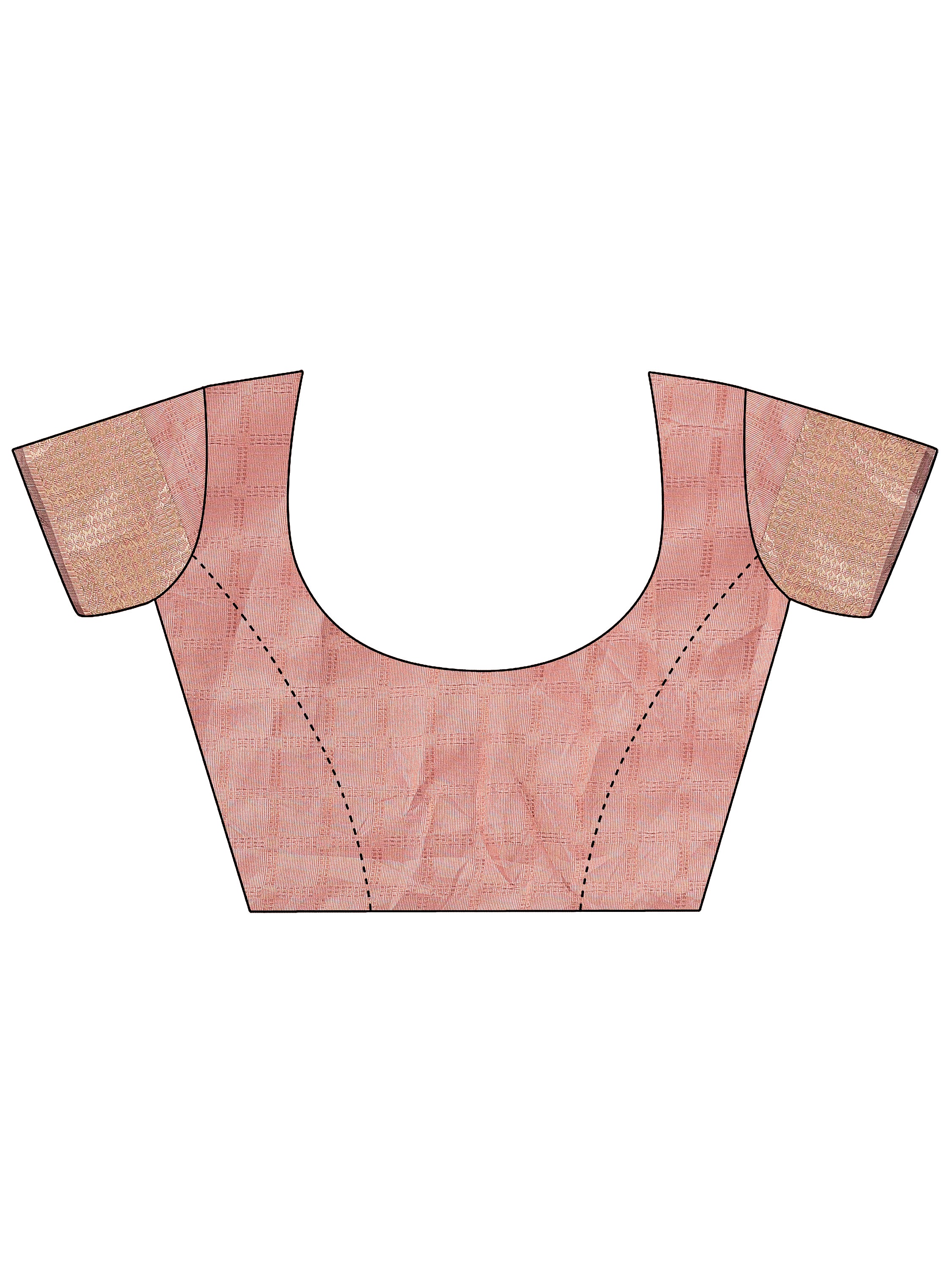 Jashn-e-Jaam Organza Sarees Collection | Ready To Wear SKU - SWBUD2001 to 06