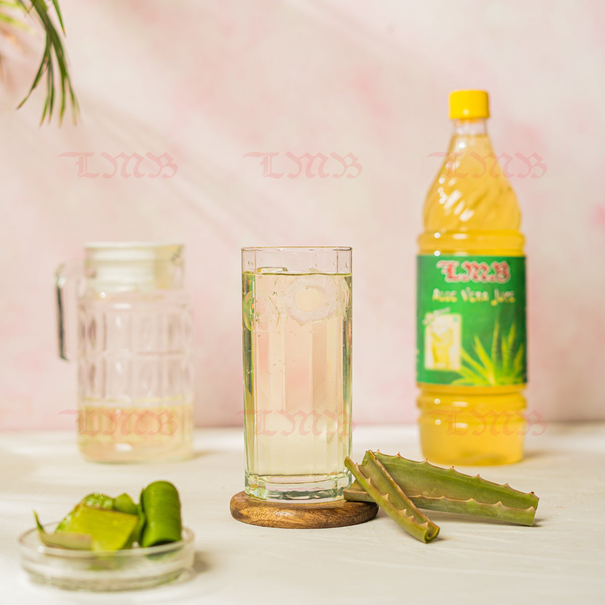 Laxmi Misthan Bhandar Aloe Vera