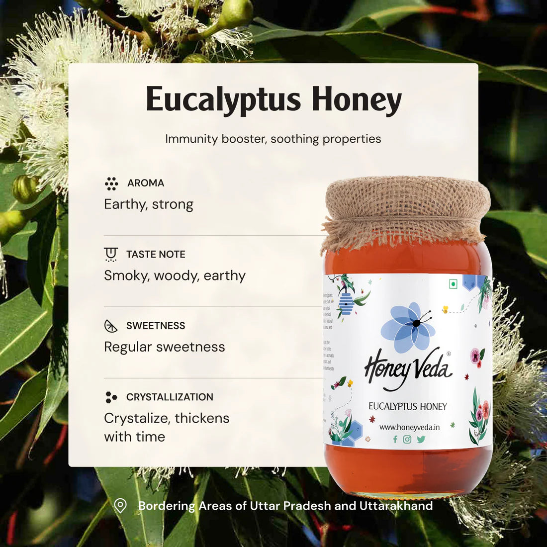 Honey Veda Eucalyptus Honey - 500 gms