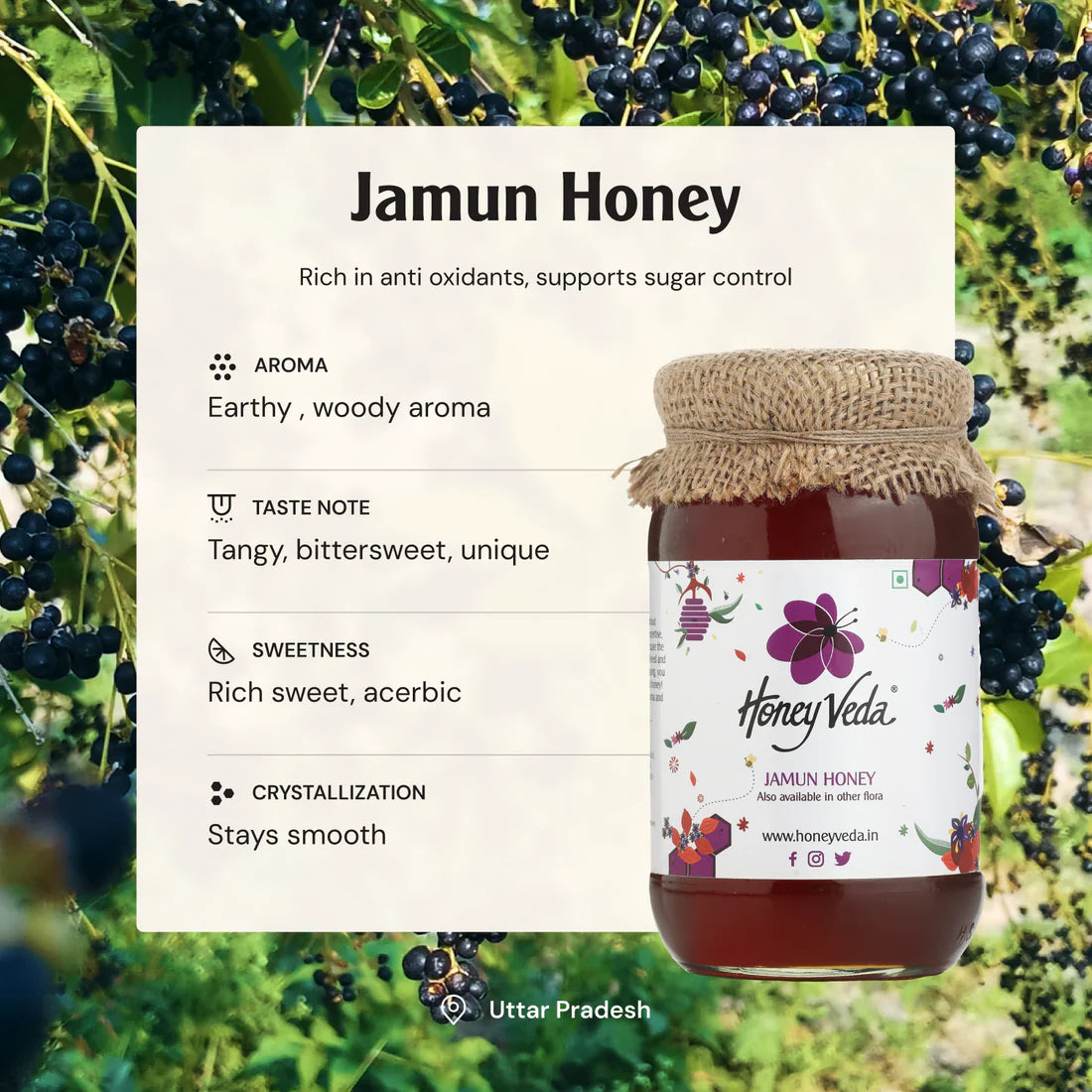 Honey Veda Jamun Honey - 500 gms