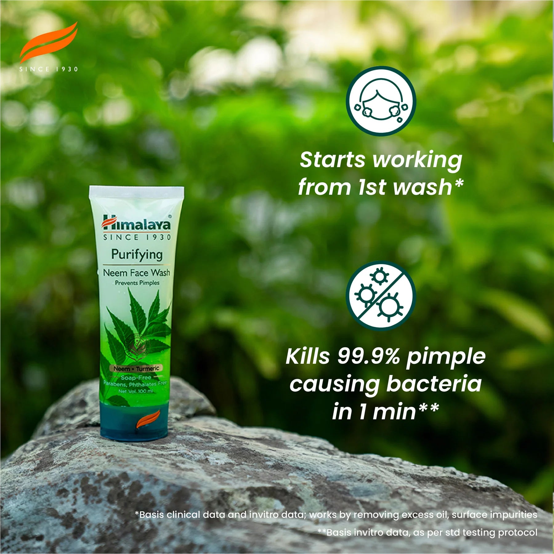 Himalaya Wellness Purifying Neem Face Wash | 400 ml