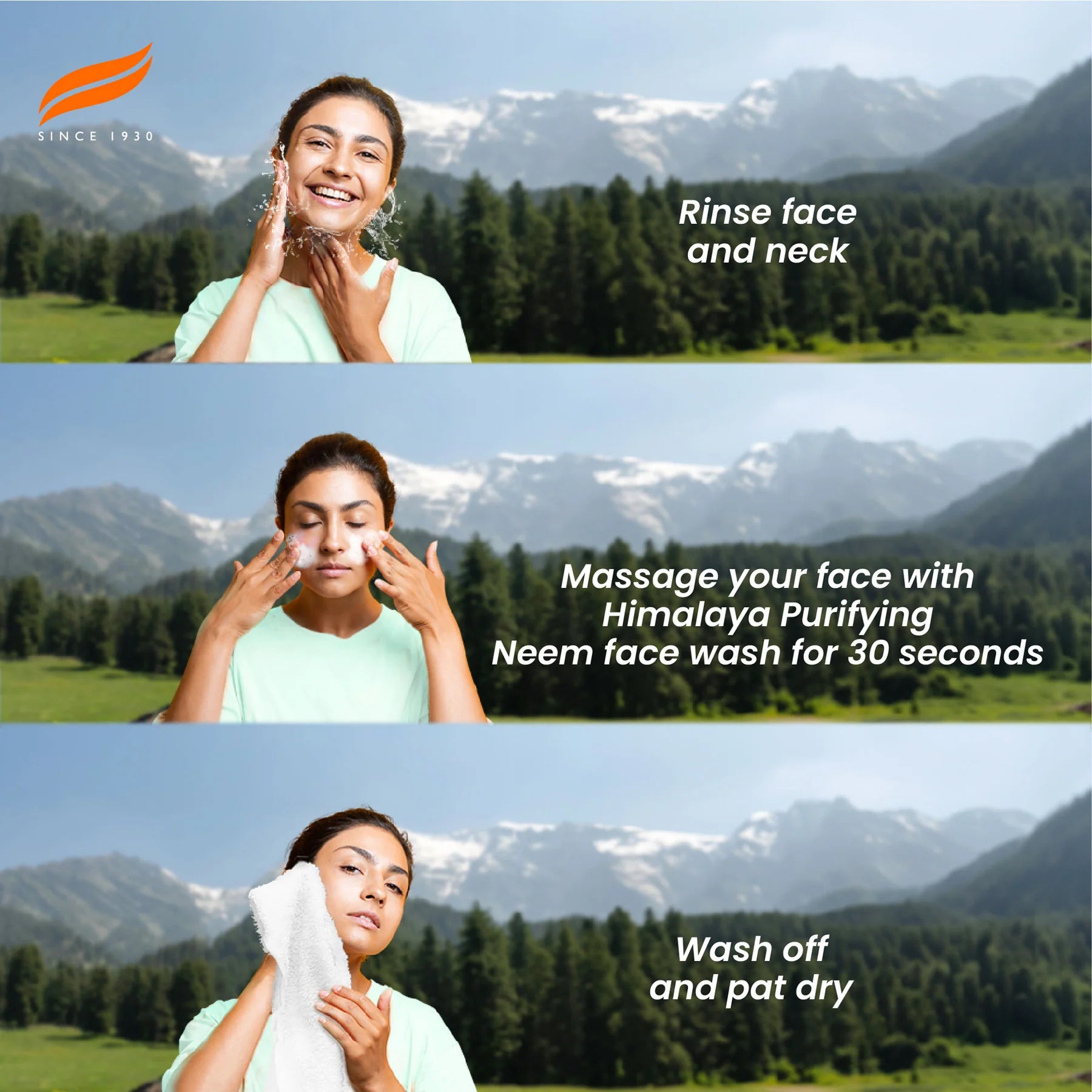 Himalaya Wellness Purifying Neem Face Wash | 400 ml