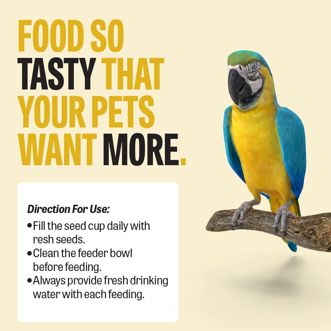 Petcrux Premium Mixed Seeds Bird Food – 6 Grain & Seed Blend, 100% Natural & Additive-Free Feed for All Birds (1 kg)