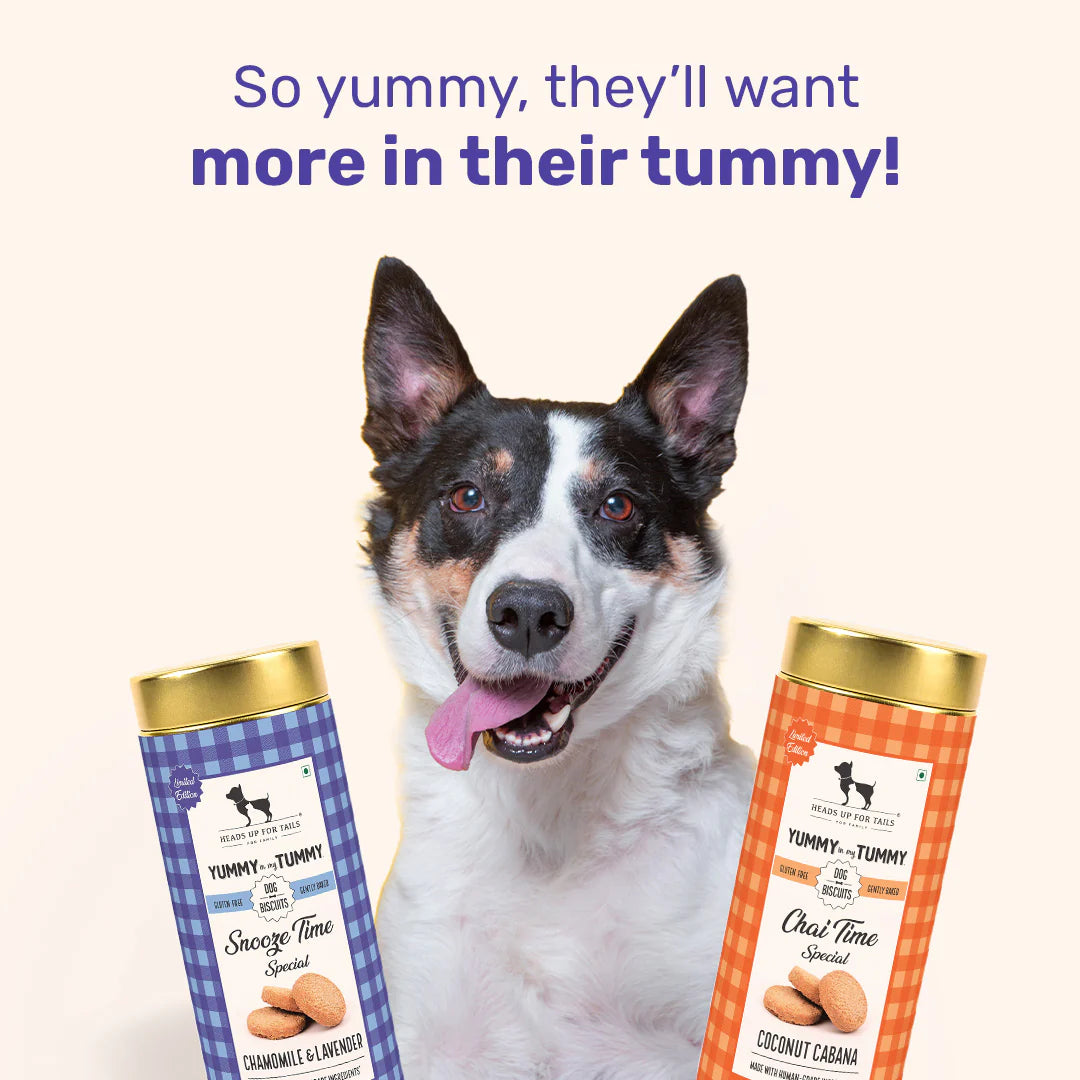 YIMT Snooze Time Special Chamomile & Lavender Dog Biscuits - 200 gms