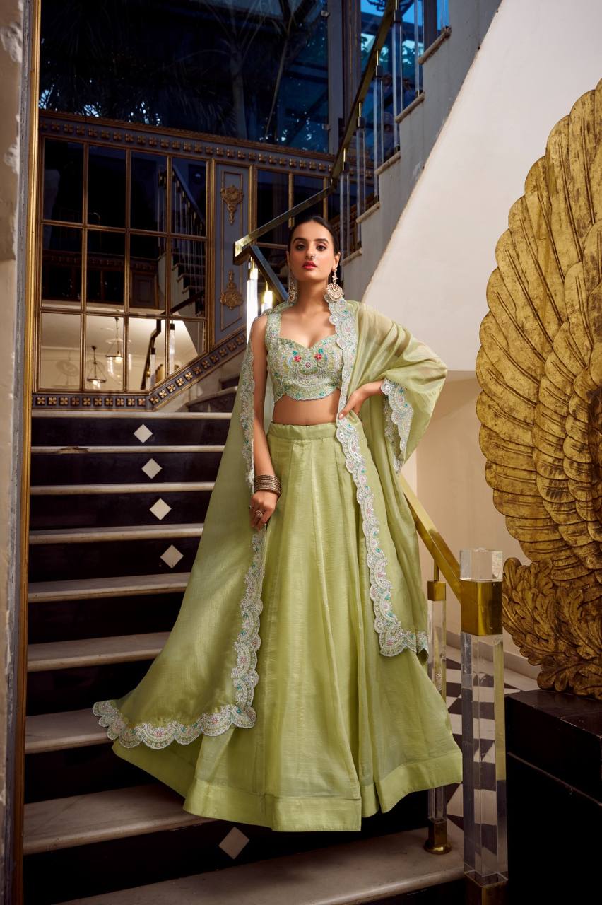 Beautiful Lehenga Choli With Plain Work | Ready To Wear