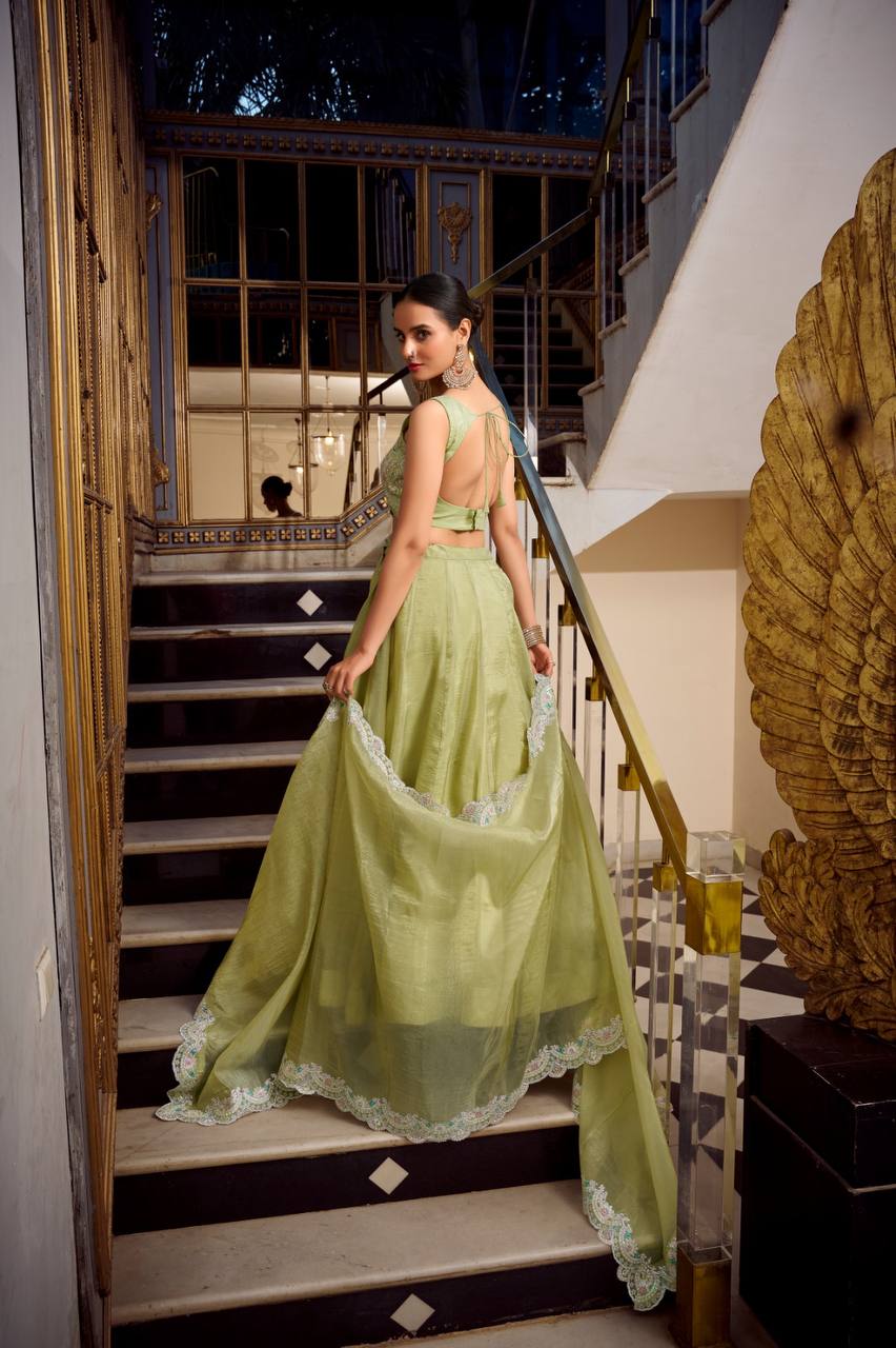 Beautiful Lehenga Choli With Plain Work | Ready To Wear