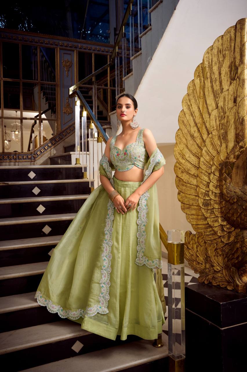 Beautiful Lehenga Choli With Plain Work | Ready To Wear