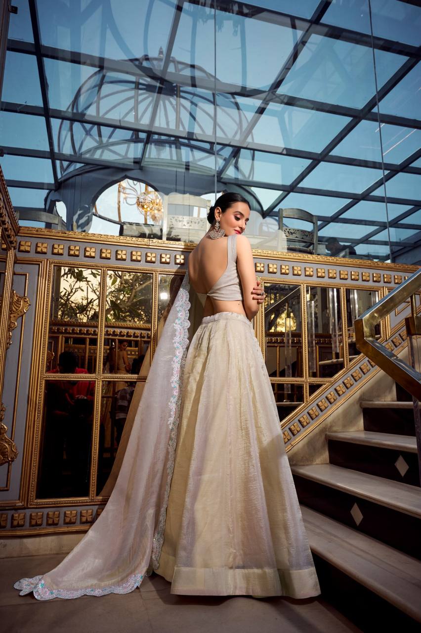 Beautiful Lehenga Choli With Plain Work | Ready To Wear