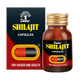 Dabur Shilajit Capsules | 100 Capsules