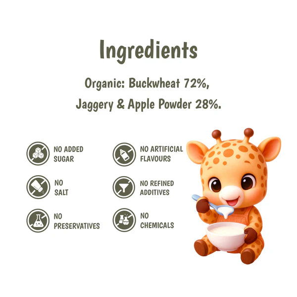 Junior's Nutrition Buckwheat Apple Pancake for Young Kids (1+ Years) | 400 gms