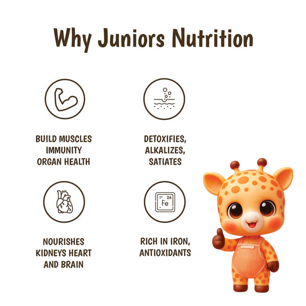 Junior's Nutrition Instant Makhana Kheer For Young Kids (6+ Months) | 500 gms
