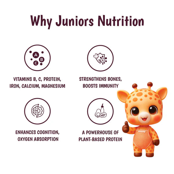 Junior's Nutrition Millet Pancake For Young Kids (1+ Years) | 400 gms