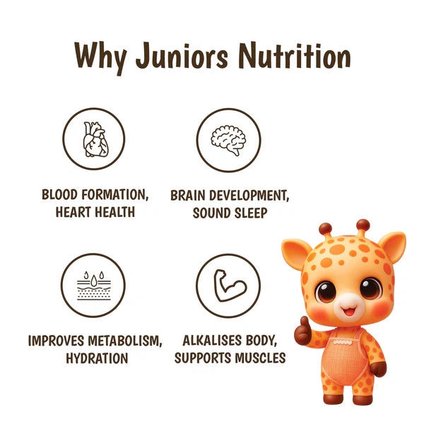 Junior's Nutrition Instant Wheat Apple Mix For Young Kids (6+ Months) | 500 gms