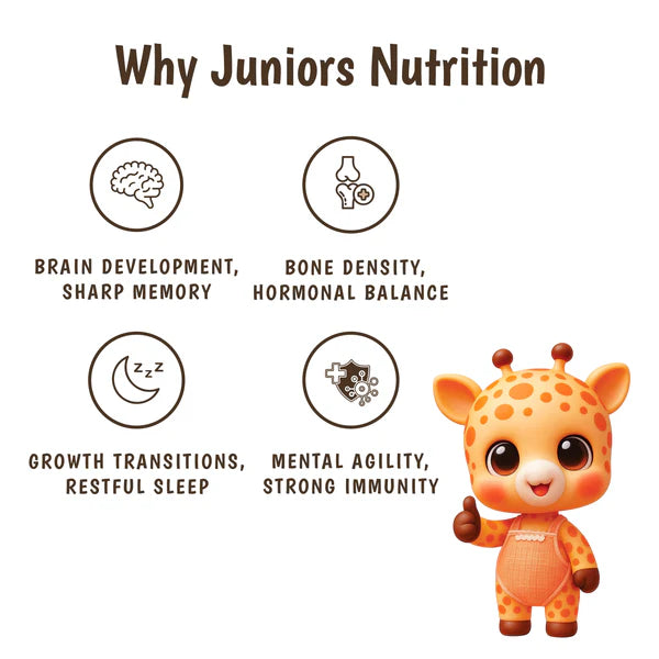 Junior's Nutrition Dry Fruit Powder For Young Kids (9+ Months) | 500 gms