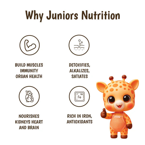 Junior's Nutrition Instant Poha Mix For Young Kids (6+ Months) | 500 gms