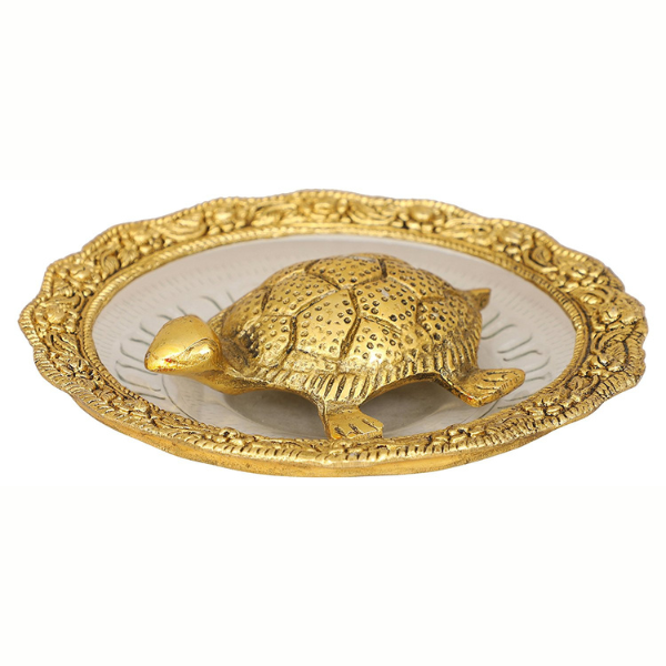 Tortoise on Glass Plate