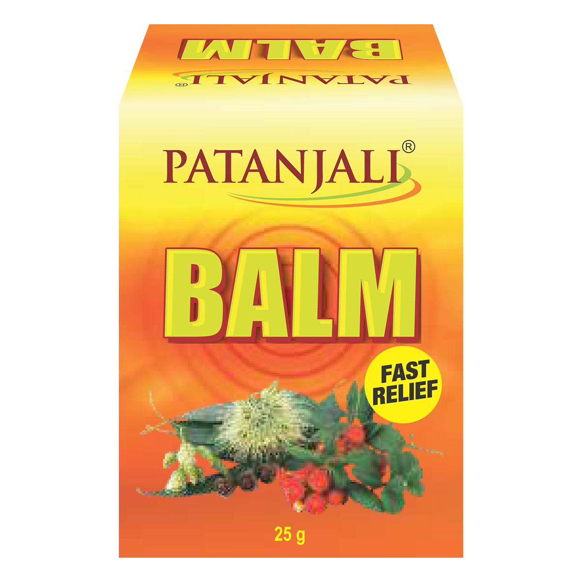 Patanjali Balm - 25 gms