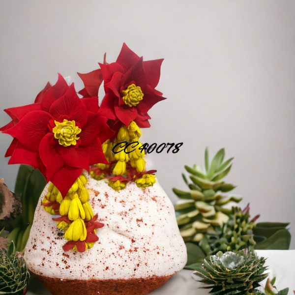 Red Bunch Flower Set