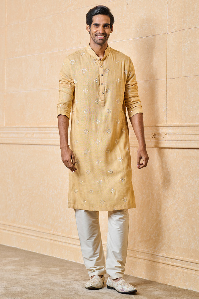 Butti embroidered Kurta set