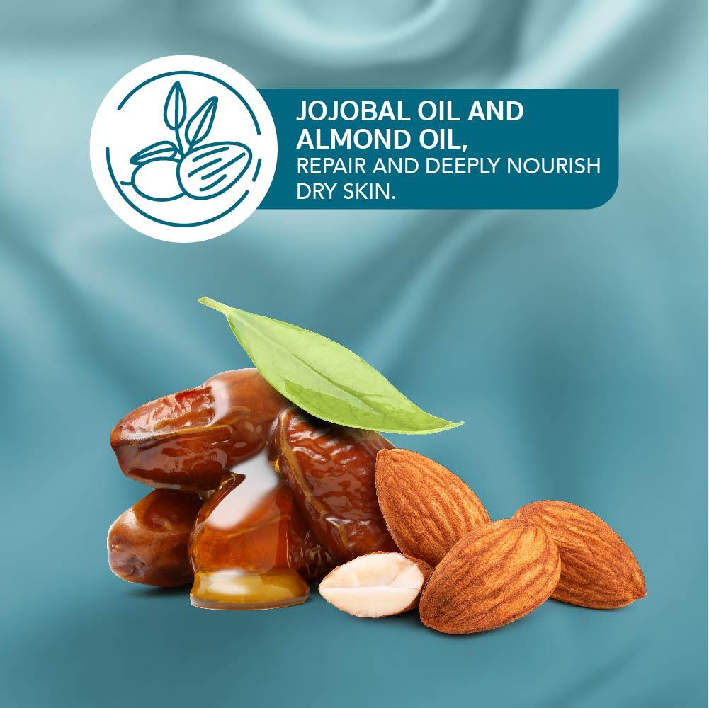 Himalaya Wellness Winter Defense Moisturizing Cream | 100 ml