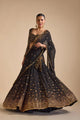 Black Lehenga Choli With Embroidery Sequence Work | Ready To Wear