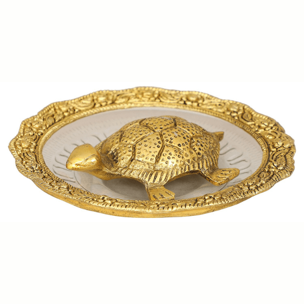 Tortoise on Glass Plate - India shopping