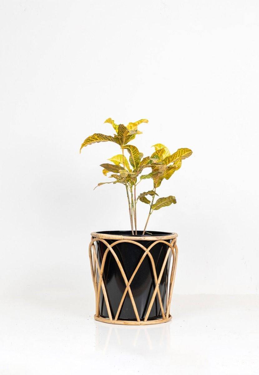 Aluminium Casted Planters with Bamboo Stand - India shopping