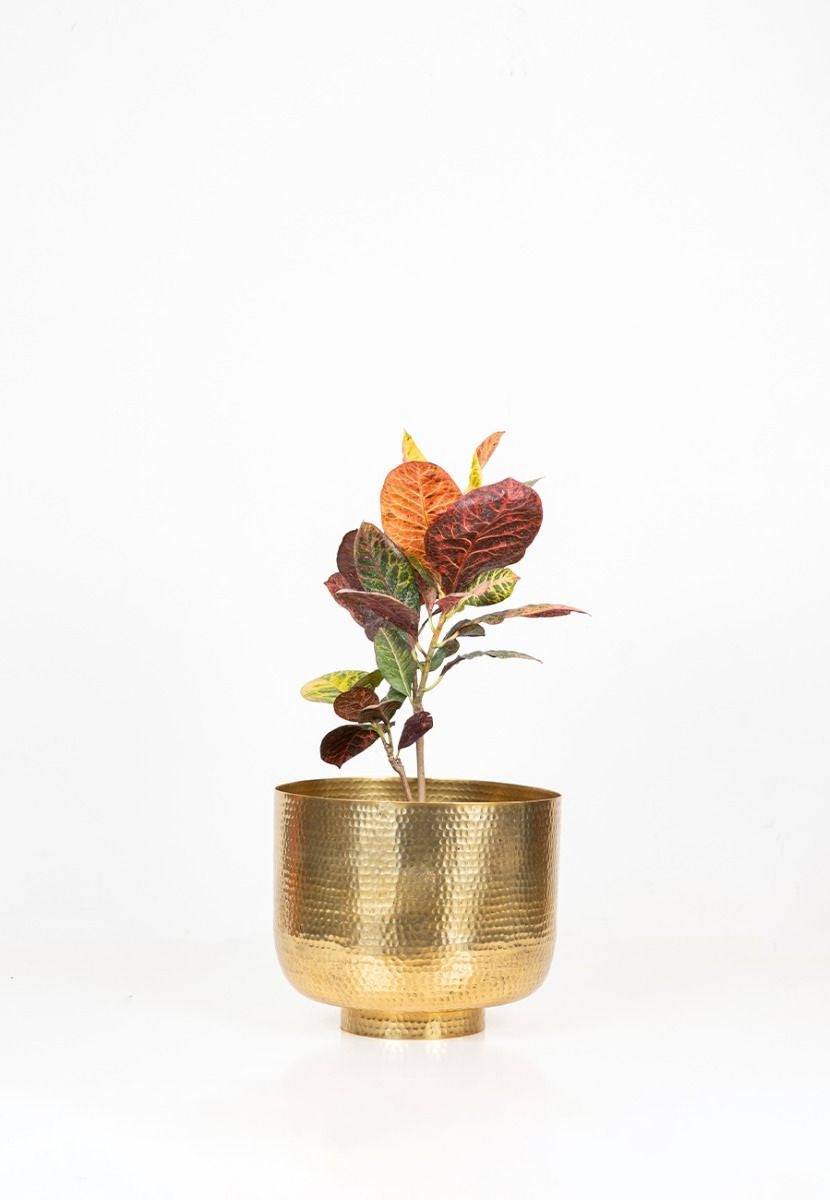 Golden Powder-Coated Aluminium Planter - India shopping