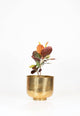 Golden Powder-Coated Aluminium Planter