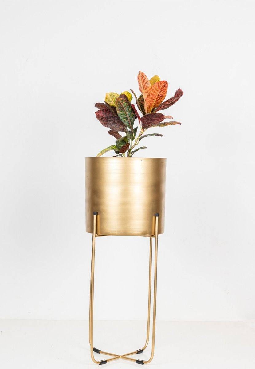 Golden Powder Coated Aluminium Planters - India shopping