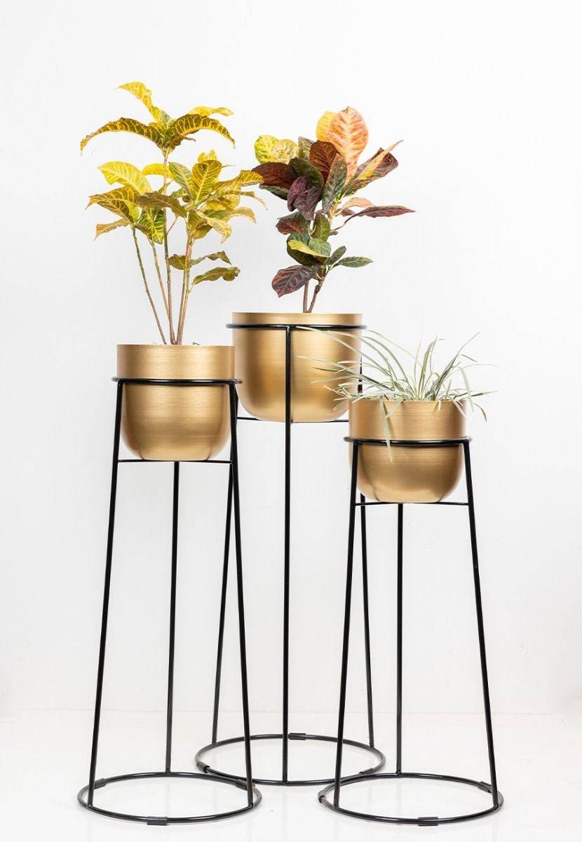 Golden Powder Coated Aluminium Planters (Set of 3) - India shopping