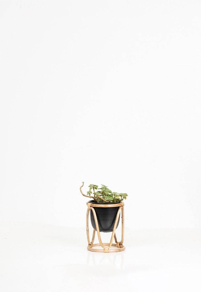 Planter with Bamboo Stand - India shopping