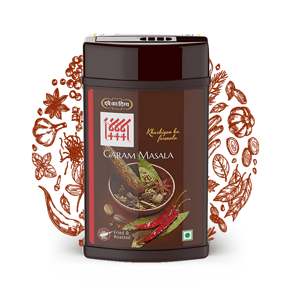 Dave Ka Divya 444 Garam Masala - 100 gms - India shopping