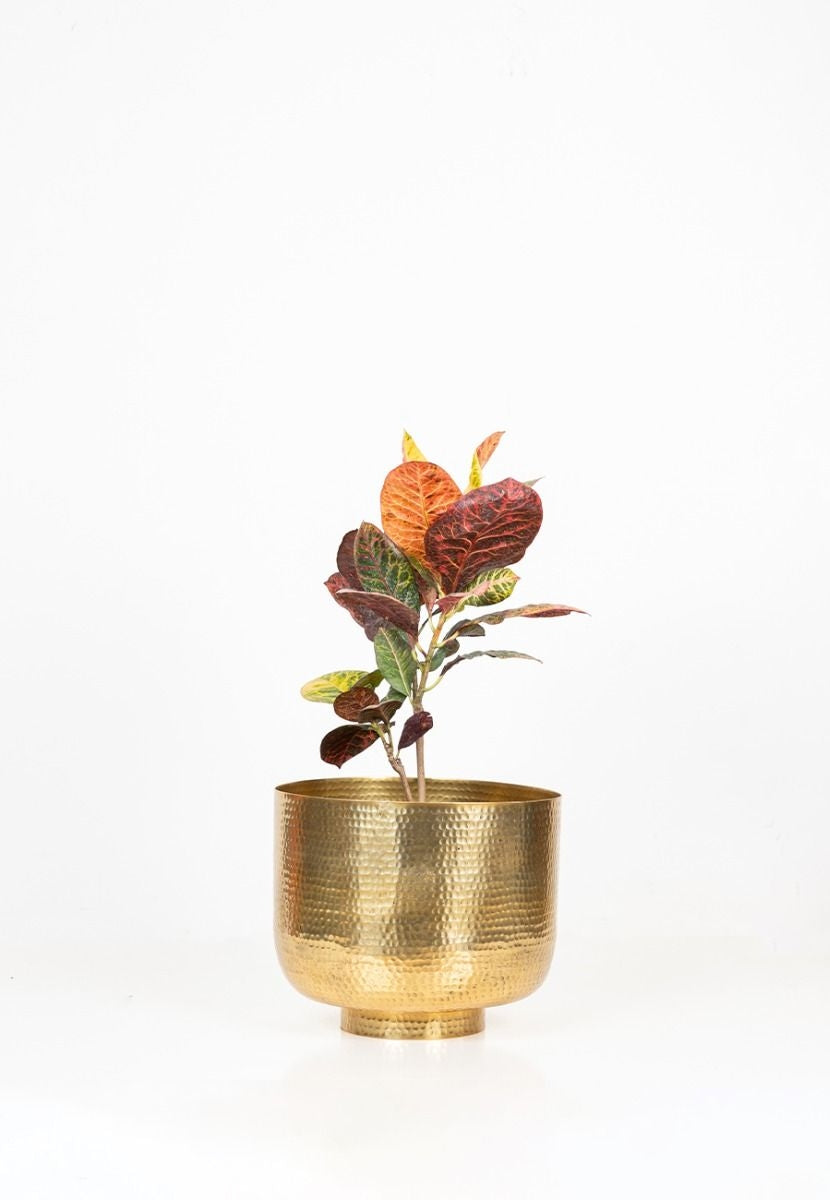 Golden Powder-Coated Aluminium Planter