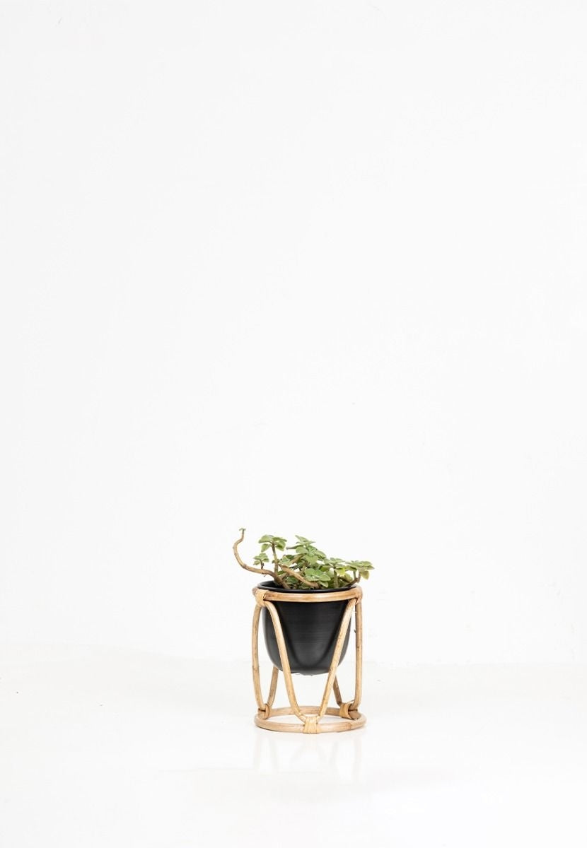 Planter with Bamboo Stand