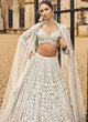 Off-White Net Thread Work Lehenga Choli With V-Neck | Ready To Wear