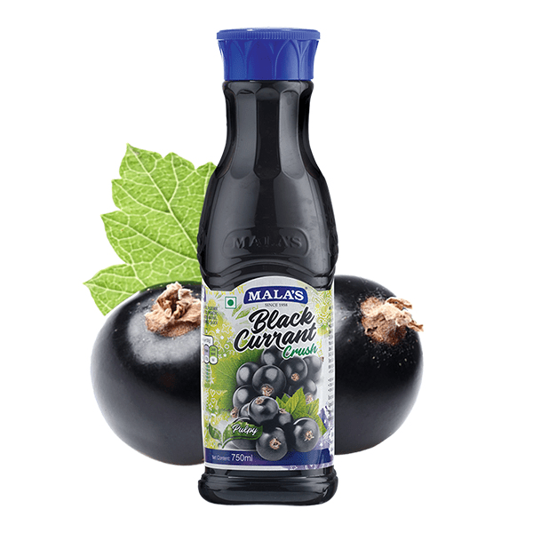 Black Currant Crush 750ml PET Bottle - India shopping