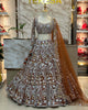 Traditional Lehenga Choli With Real Mirror Work | Ready To Wear